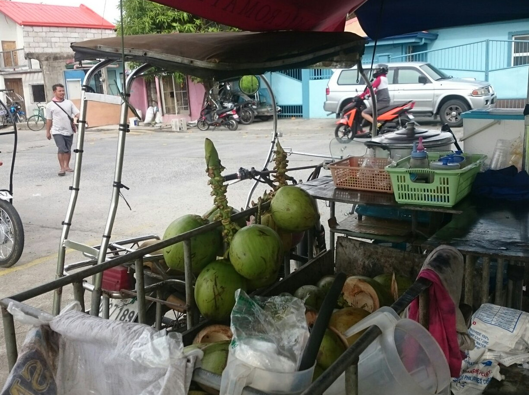 Carmona Municipal Park-Carmona必去景点