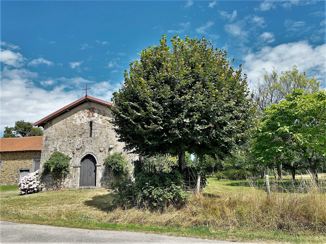 Eglise Sainte-Marie-Madeleine景点图片