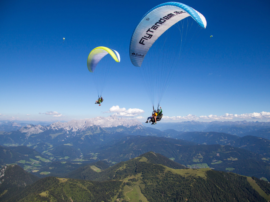 FlyTandem Paragliding-维尔芬韦恩必去景点