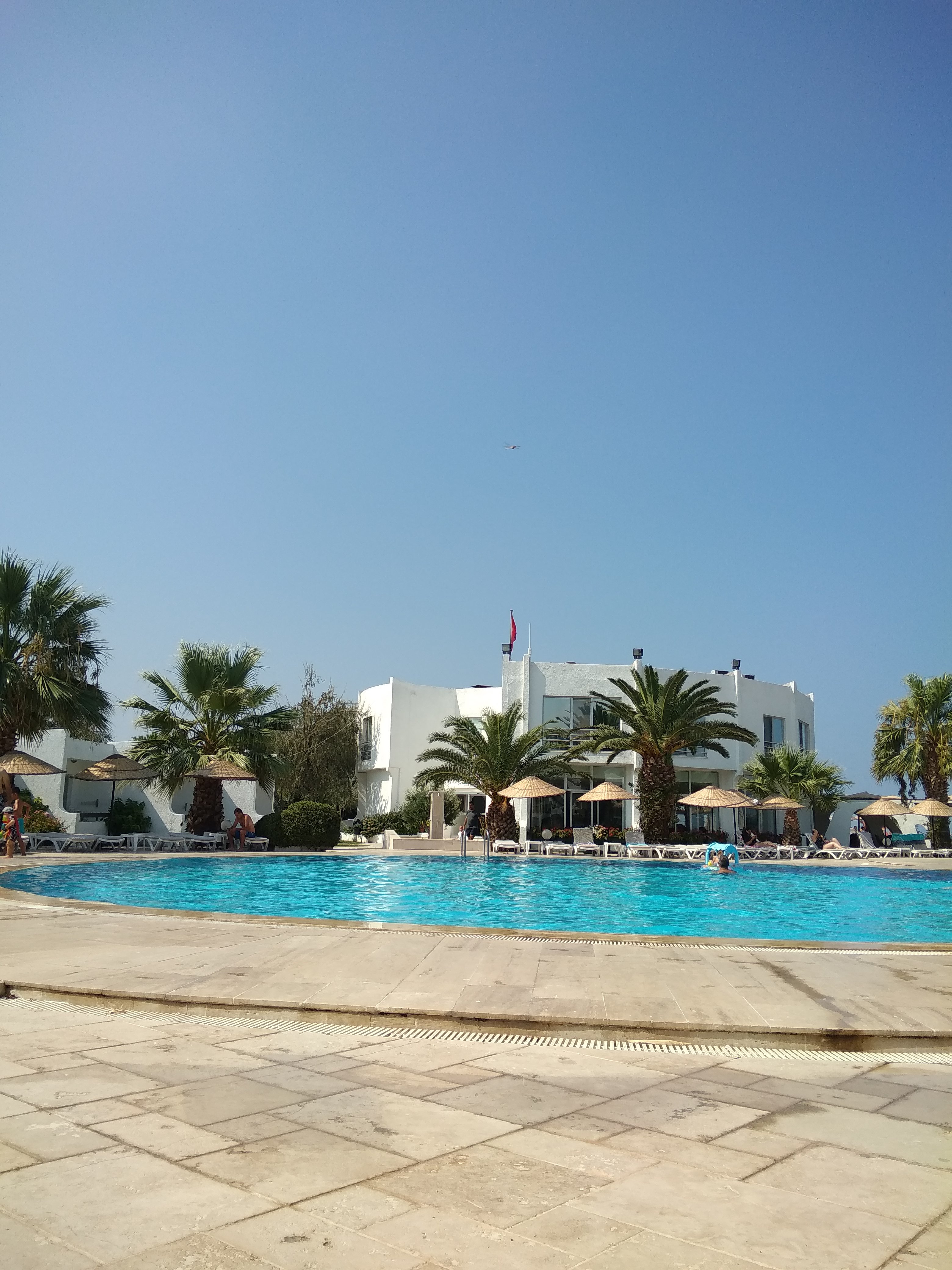 Artemis Oren Tatil Koyu-官方