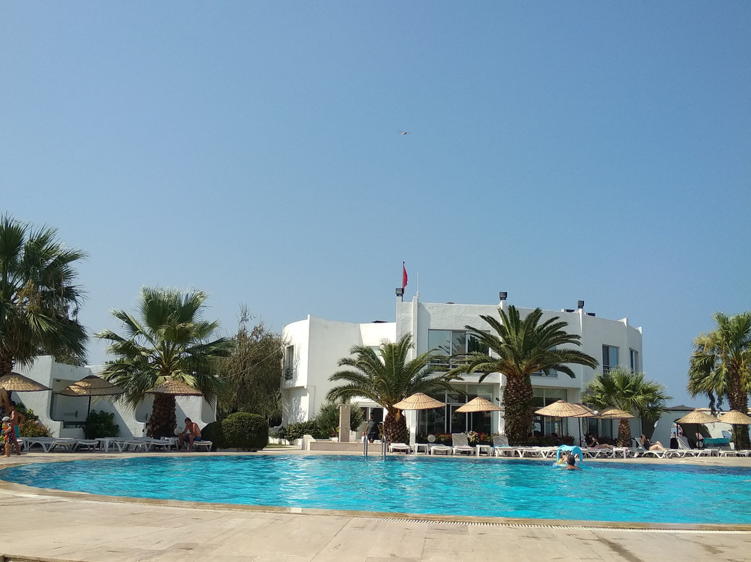 Artemis Oren Tatil Koyu主图
