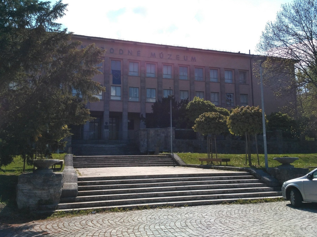 Slovakian National Museum景点图片
