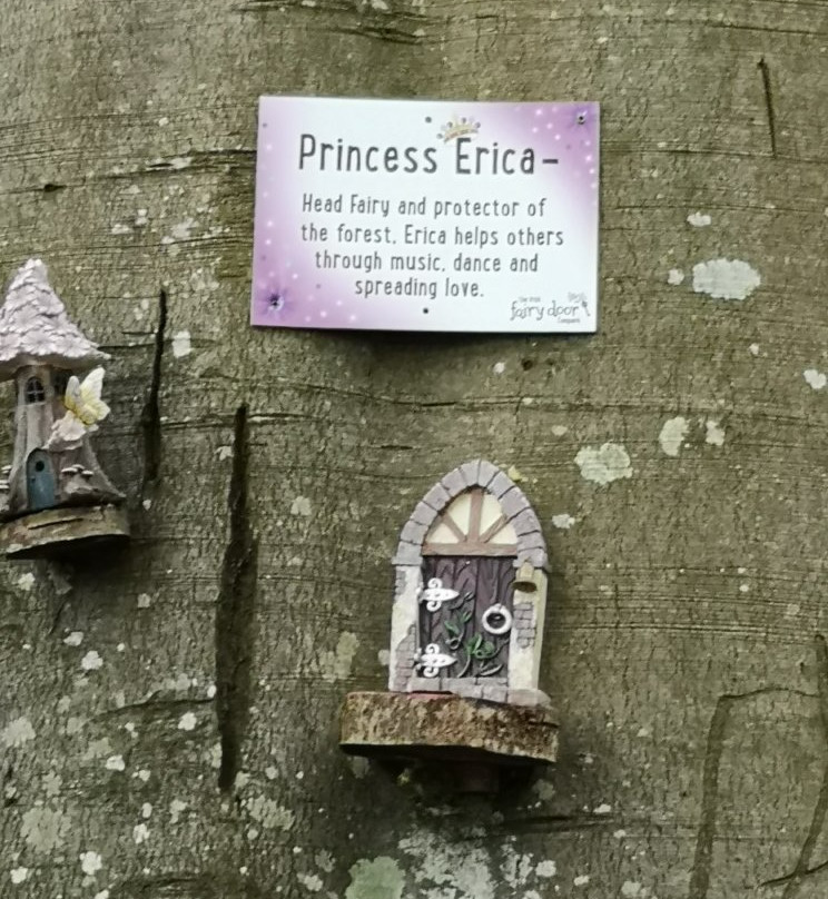 Erica's Fairy Forest-Cootehill必去景点