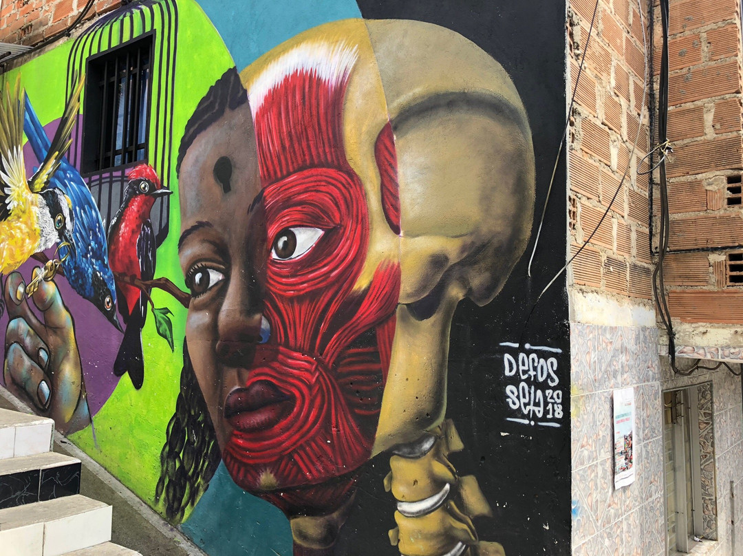 Visit Medellin Tours景点图片