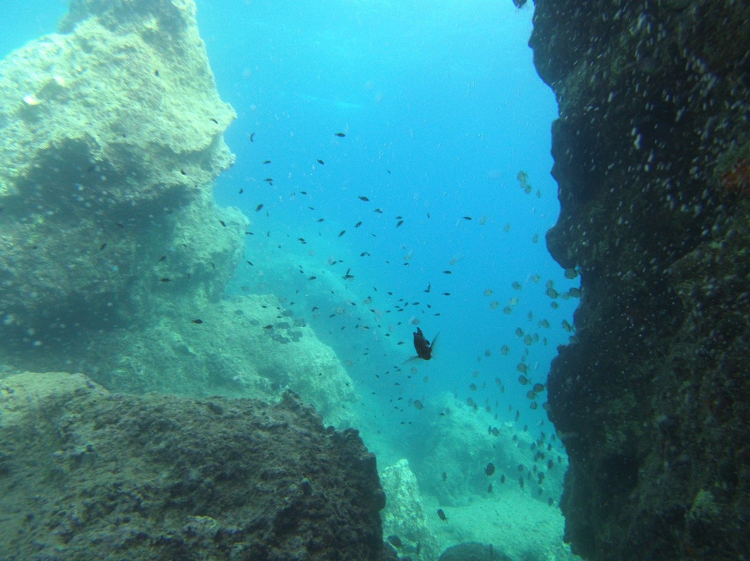 Nautilus Diving Club-Vasiliki必去景点