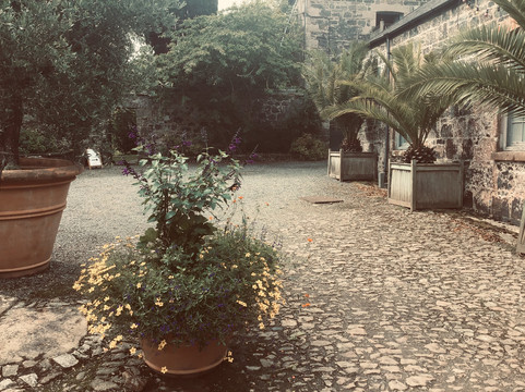 Lizard Art-Mawgan必去景点