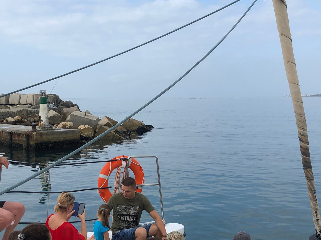 Catamaran Zostera景点图片