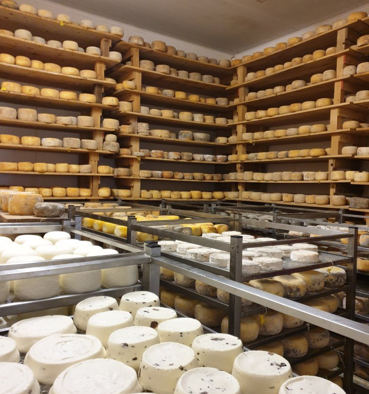 Podere Paterno景点图片