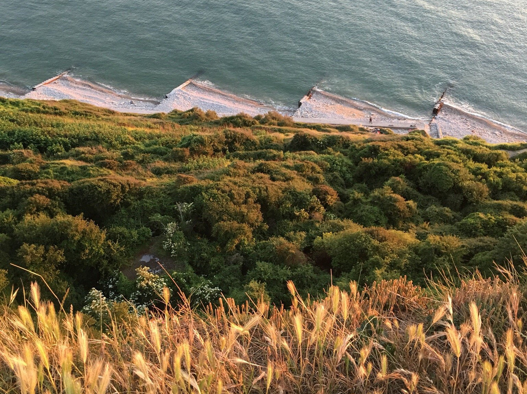 Cap de la Heve-勒阿弗尔必去景点
