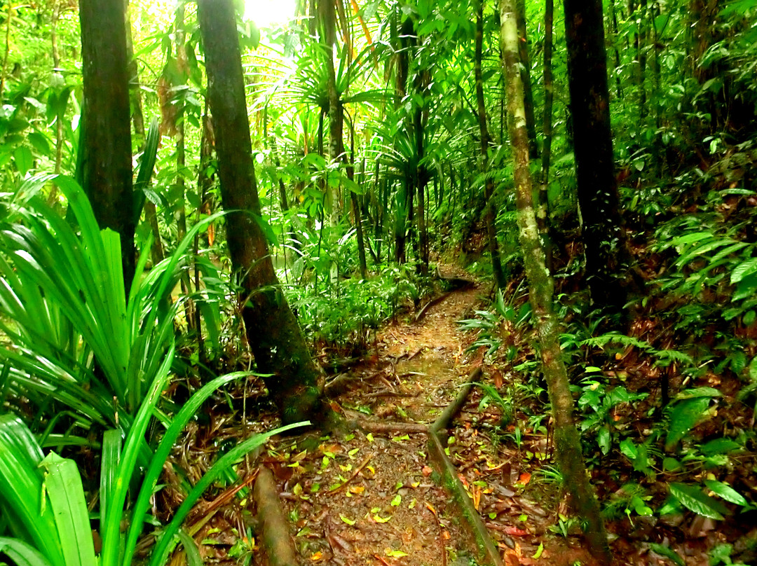 Kay Services Tour-Nausori必去景点