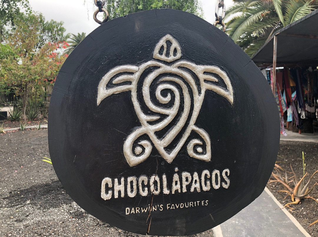 Chocolapagos Darwin's Favourites-阿约拉港必去景点
