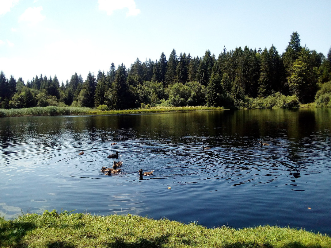Etang des Royes
