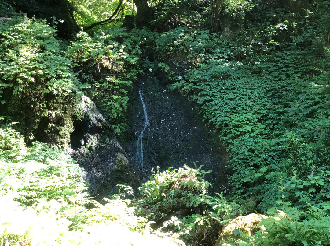 Shiratama Falls-新泻市必去景点