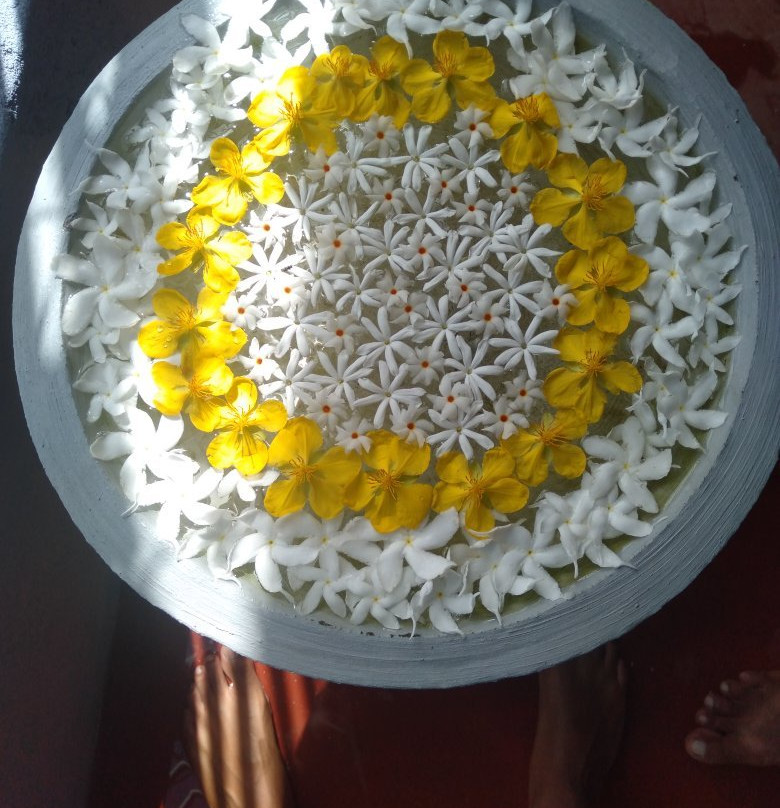 Sport Relaxation Massages - Mirissa-美蕊沙必去景点