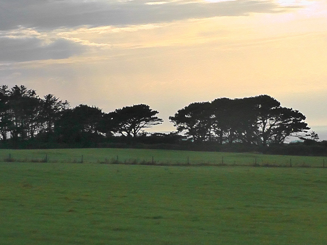 Warcombe Farm Camping Park主图