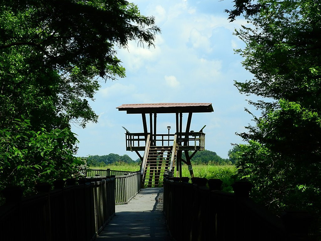 Tensas River National Wildlife Refuge景点图片