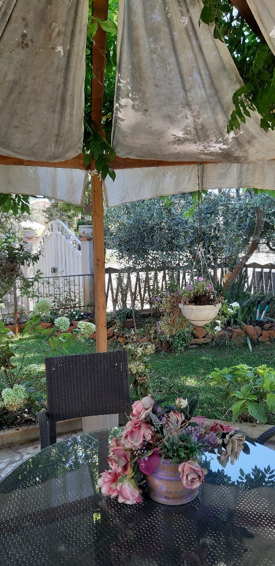 I Girasoli di Migliarino-官方