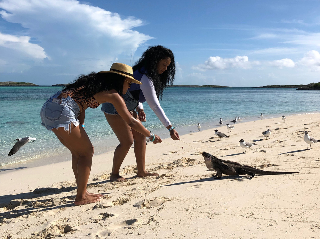 Pig Beach-斯丹尼尔岛必去景点