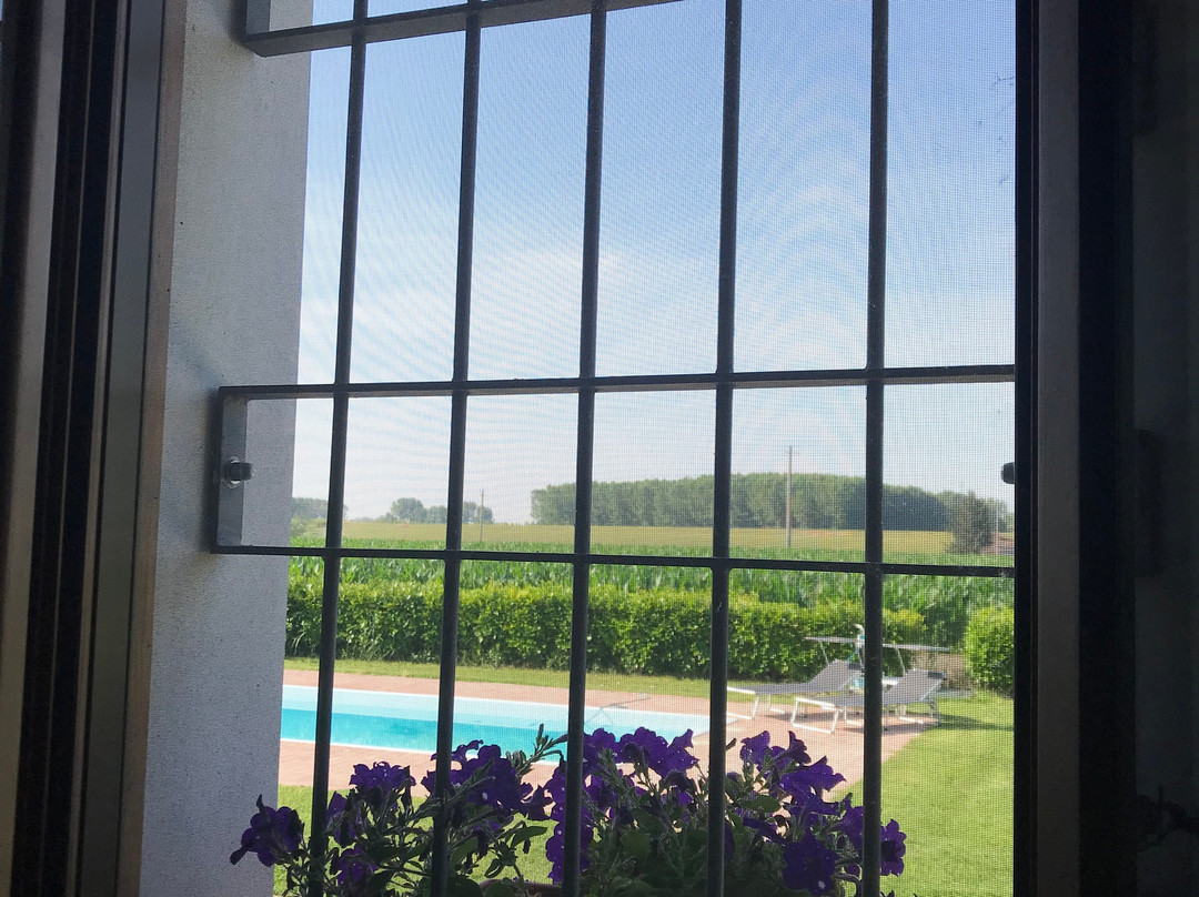 B&B la Casa Delle Rondini主图