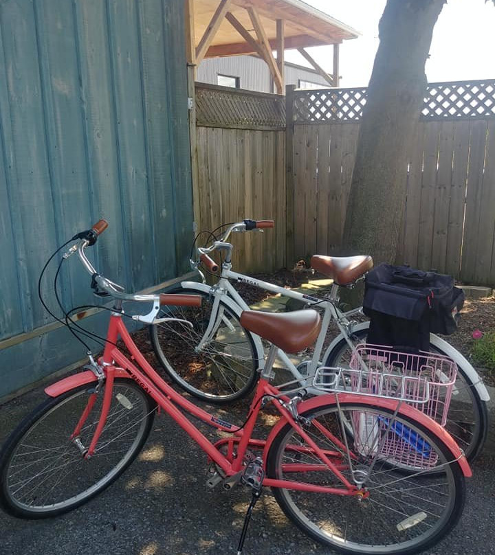 Vino Velo-滨湖尼亚加拉必去景点