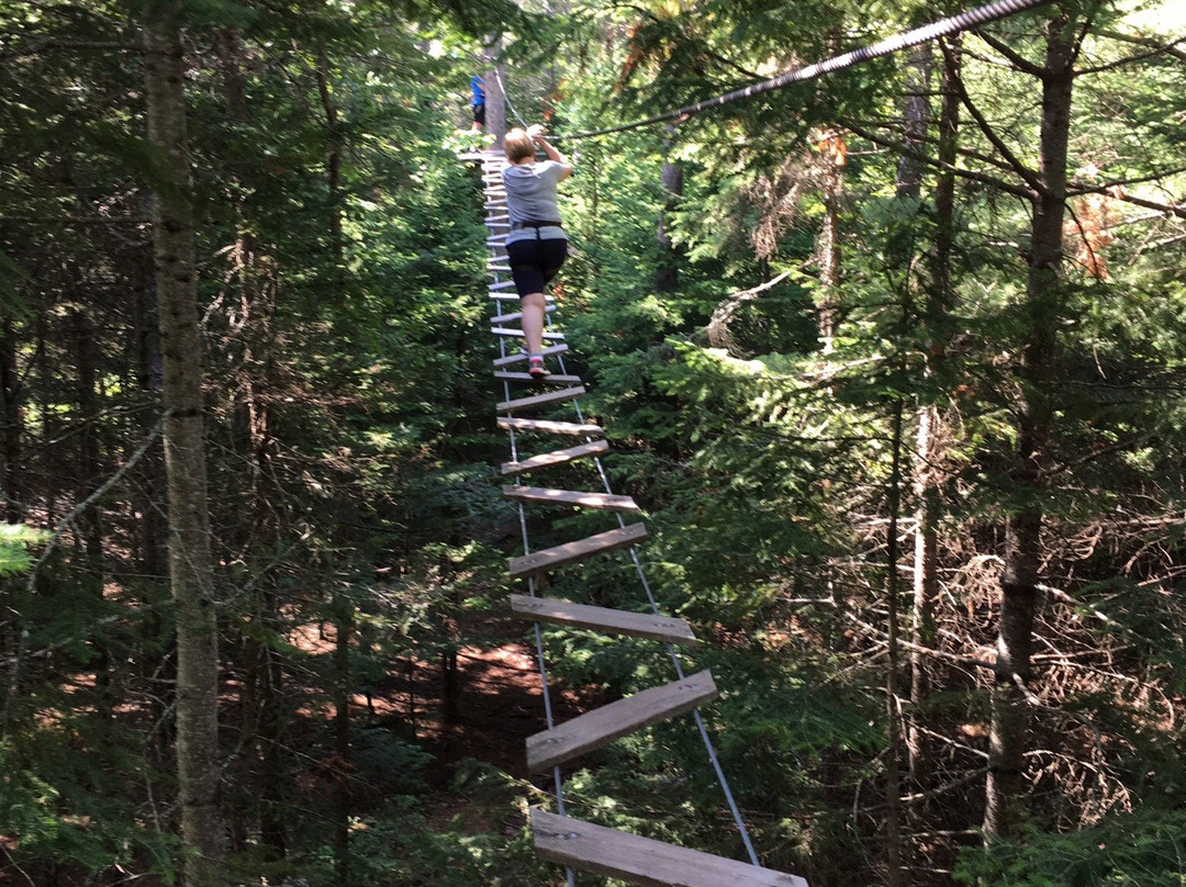 Treego Moncton-蒙古顿必去景点