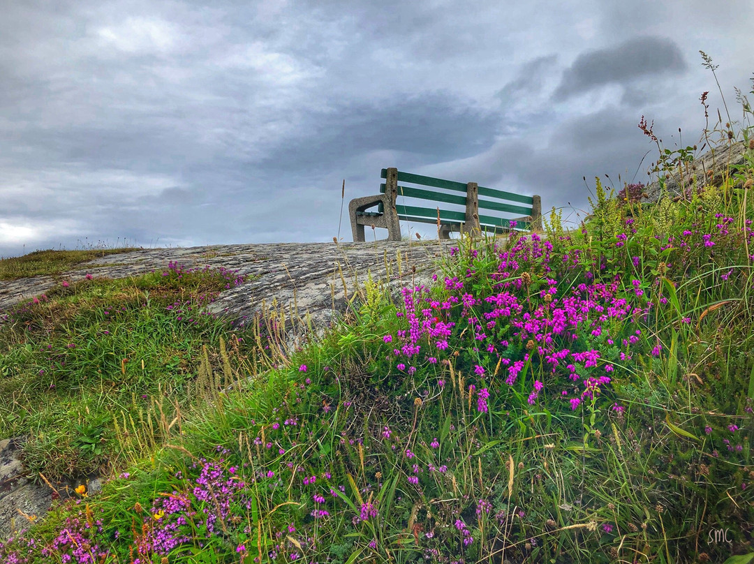 Donegal Tours景点图片