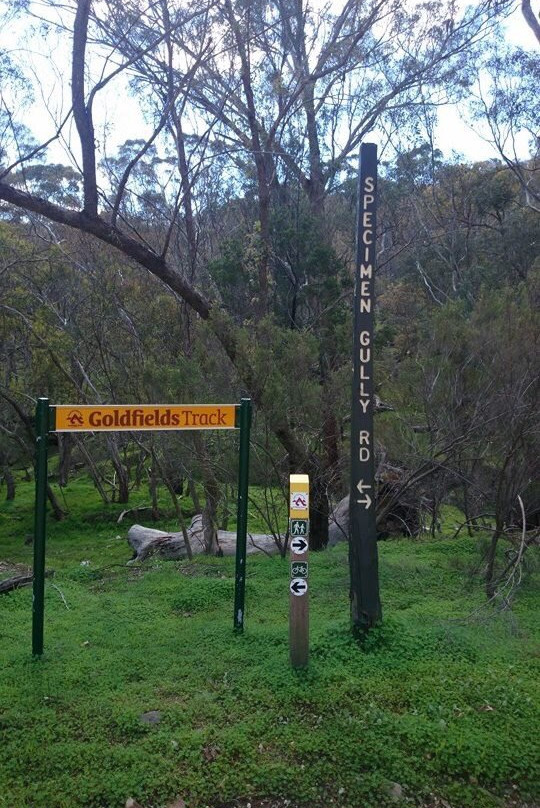 Goldfields Track-Castlemaine必去景点