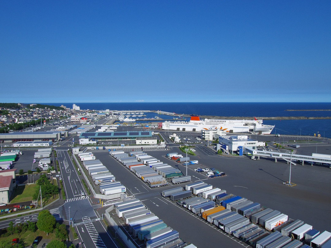 Oarai Marine Tower景点图片