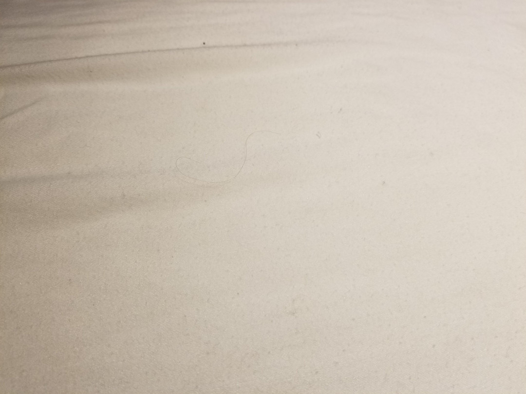 Microtel Inn & Suites by Wyndham Pueblo主图