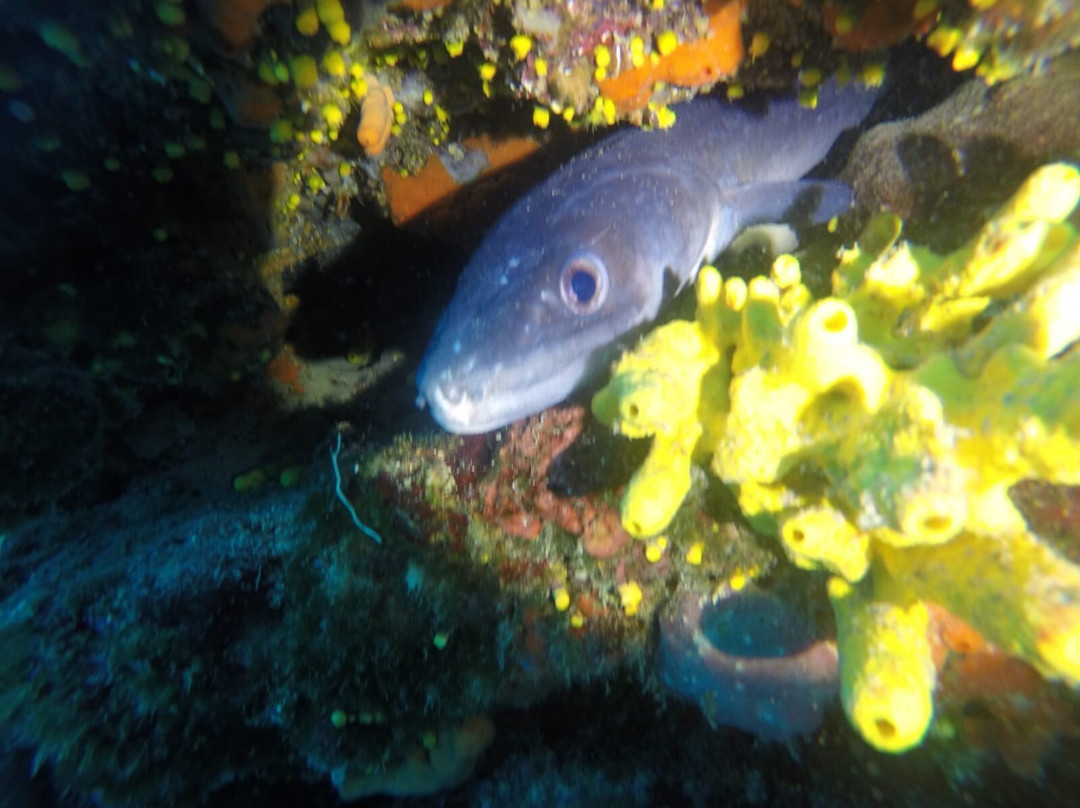 More Sub Makarska-玛卡沙必去景点