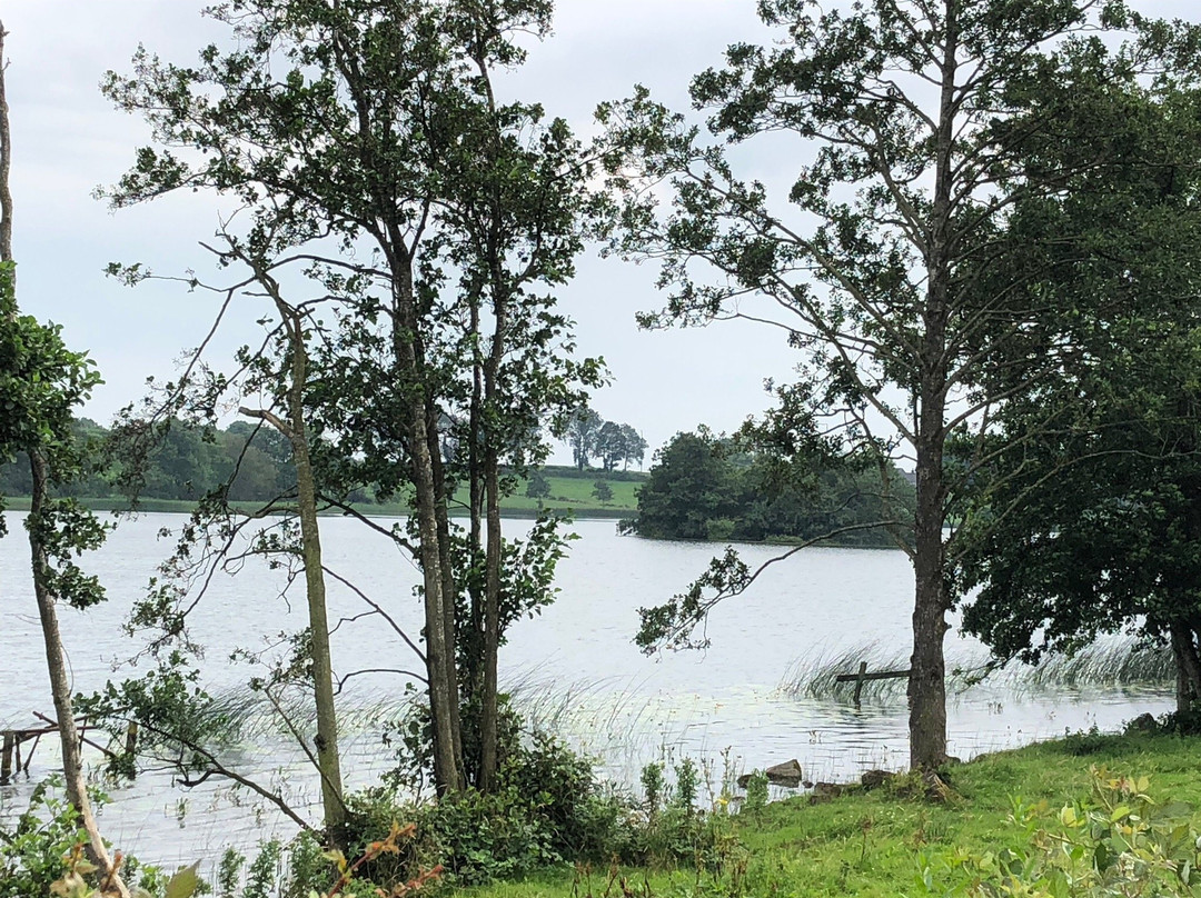 Roughan Lough B&B主图
