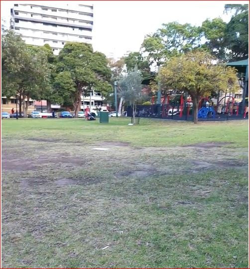 Burwood Park景点图片
