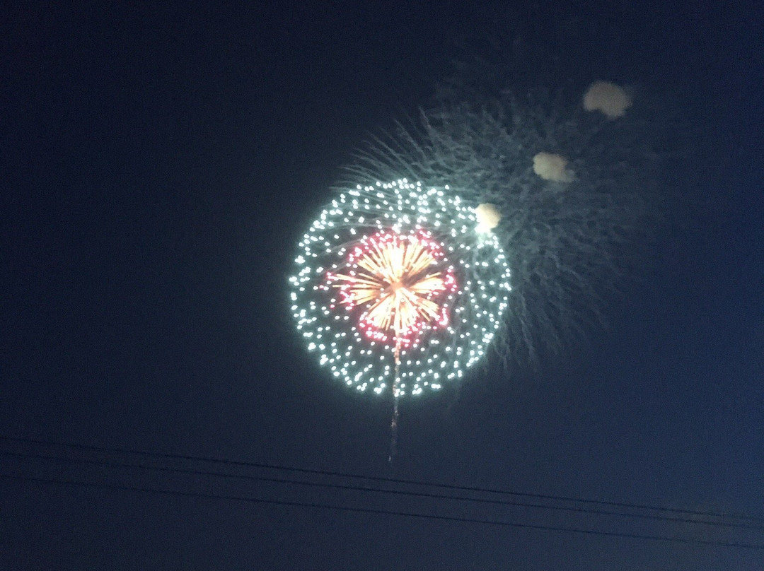 Teganuma Fireworks-柏市必去景点