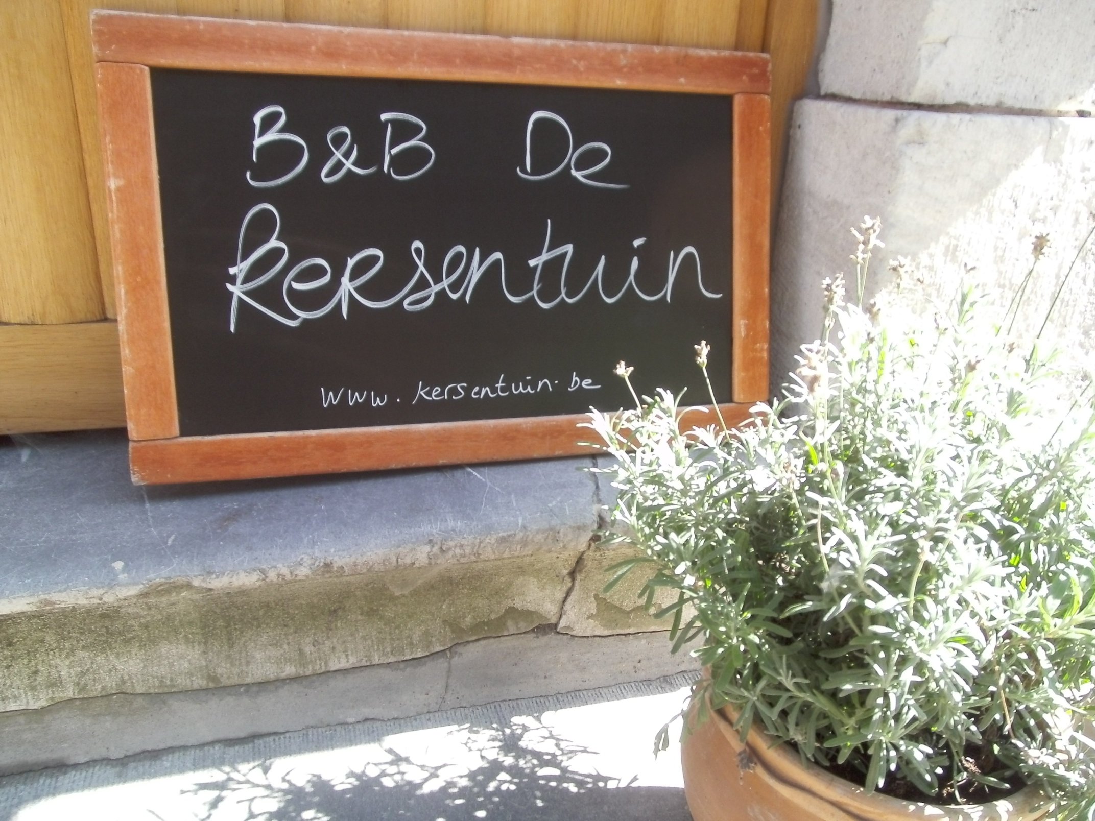 B&B De Kersentuin-官方