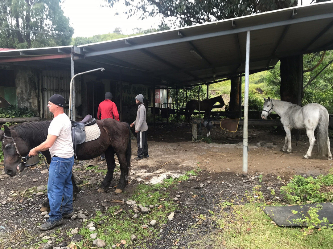 Ferme Equestre du Grand Etang景点图片