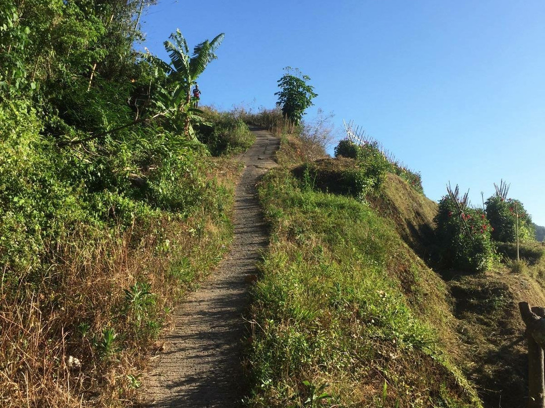 Matahari Xperience-槟城岛必去景点