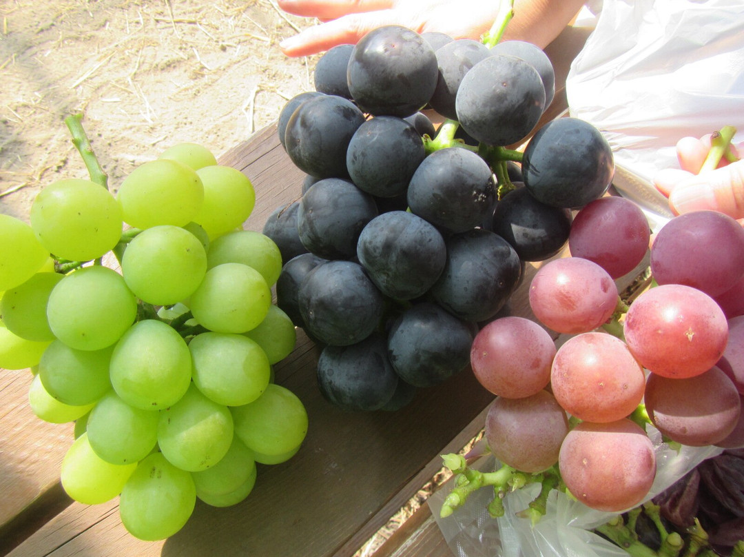 Takashina Kanko Kajuen