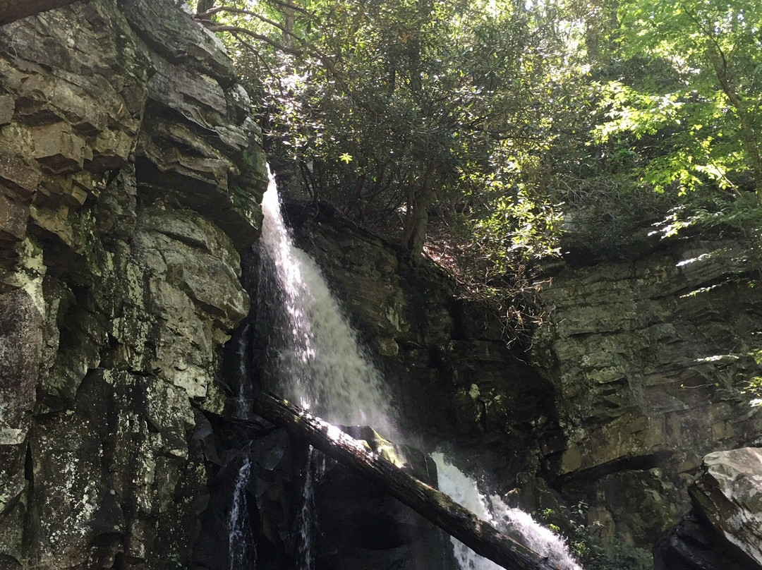 Baskins Creek Falls-大雾山国家公园必去景点