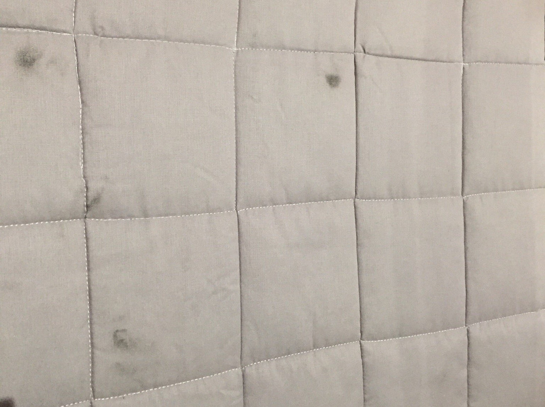 Toukley Motor Inn主图