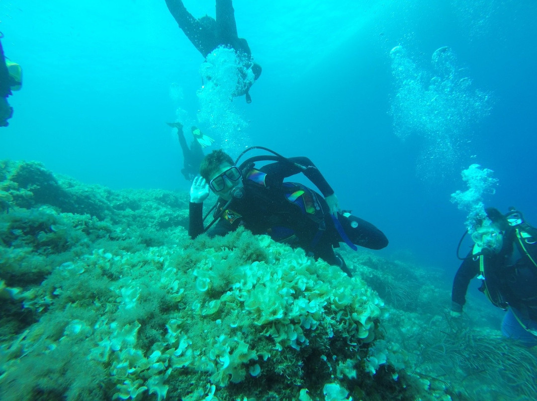 Unica Diving Elba景点图片