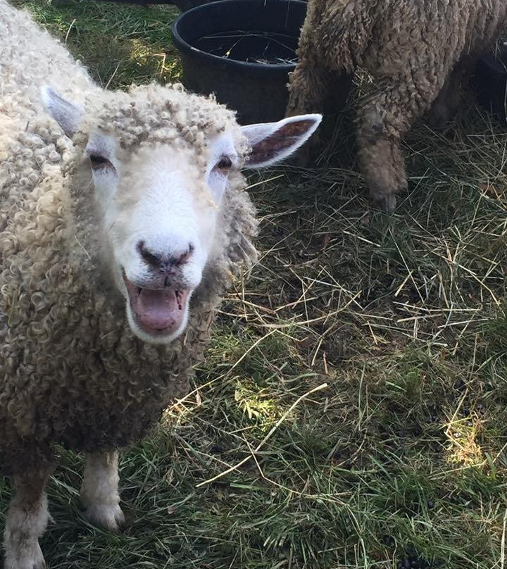 Greenbank Mills & Philips Farm-威尔明顿必去景点