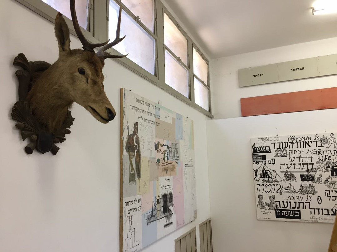 Beit Hankin-Kfar Yehoshua必去景点