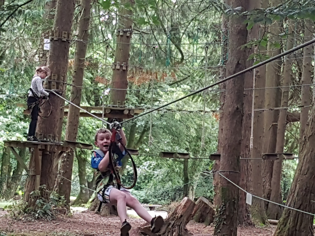 Zipit Forest Adventures-科克必去景点
