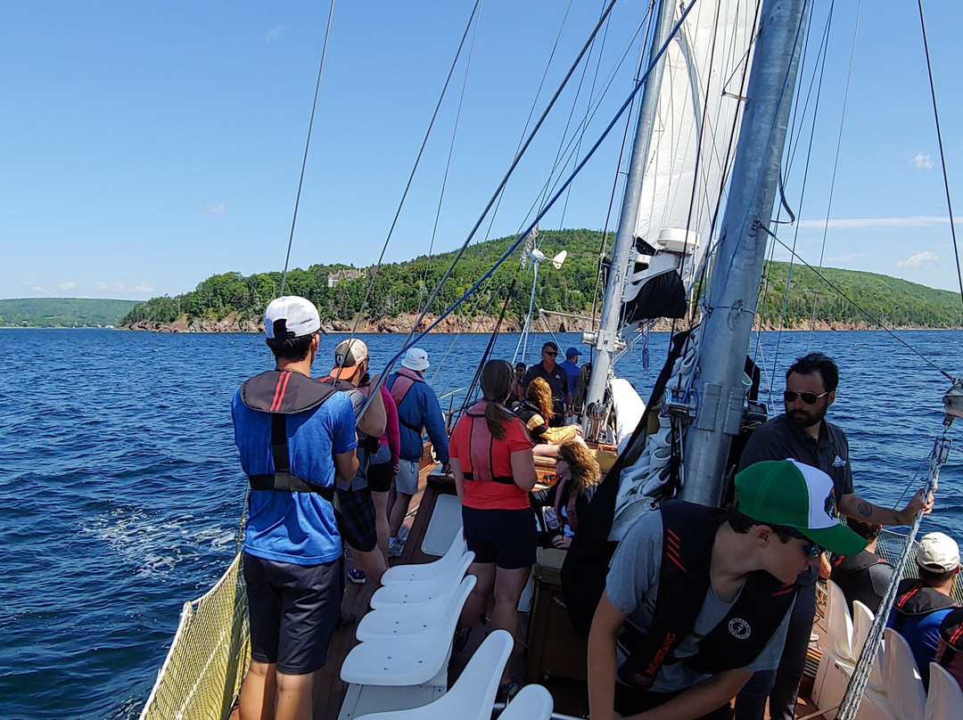 Amoeba Sailing Tours day tours景点图片