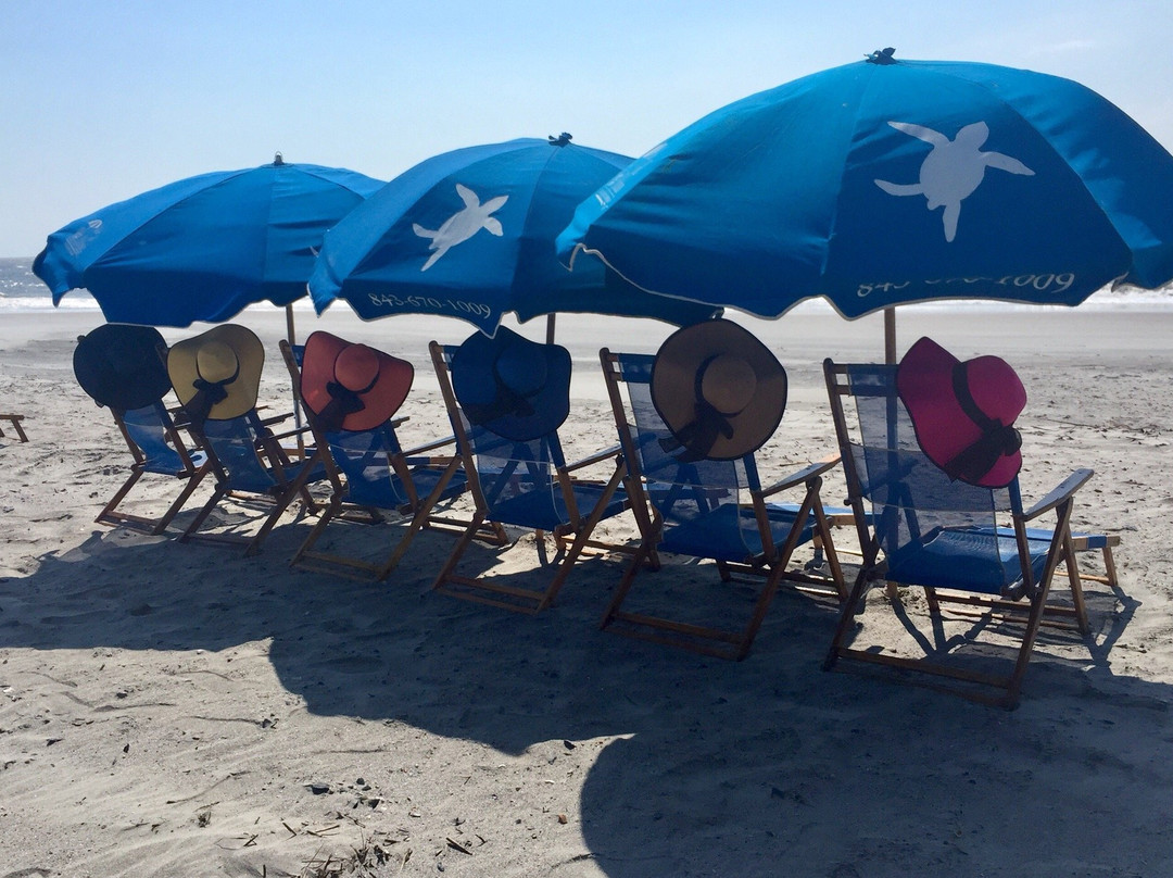 Isle of Palms Beach Chair Company-棕榈岛必去景点