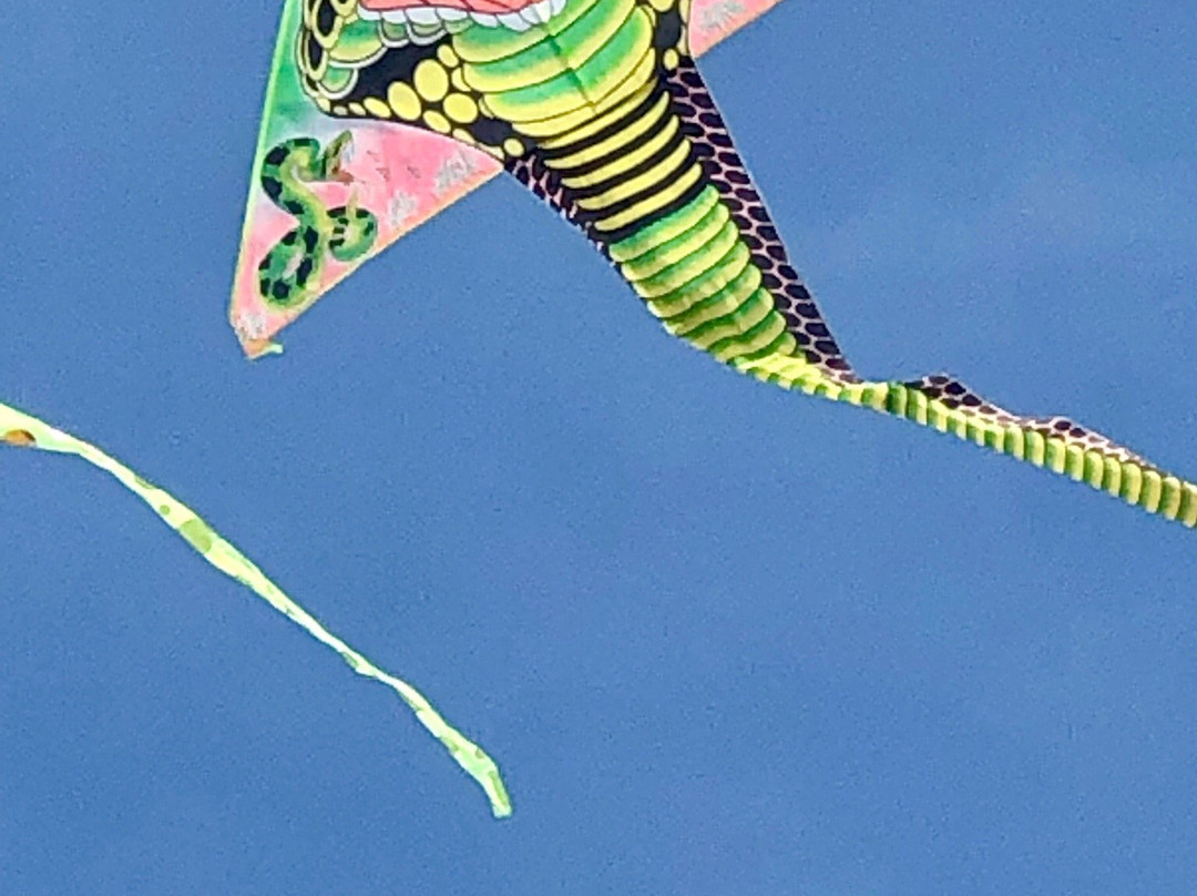 Spiaggia Lido di Fano-法诺必去景点
