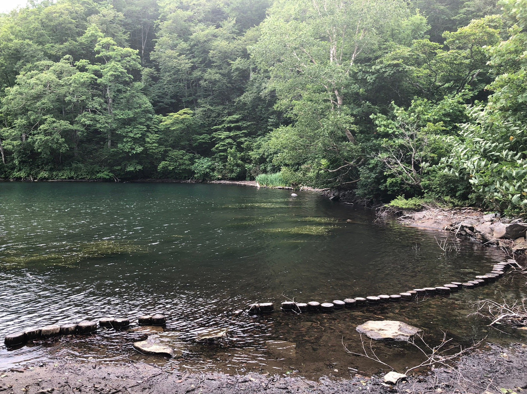 Dokkonuma Swamp景点图片