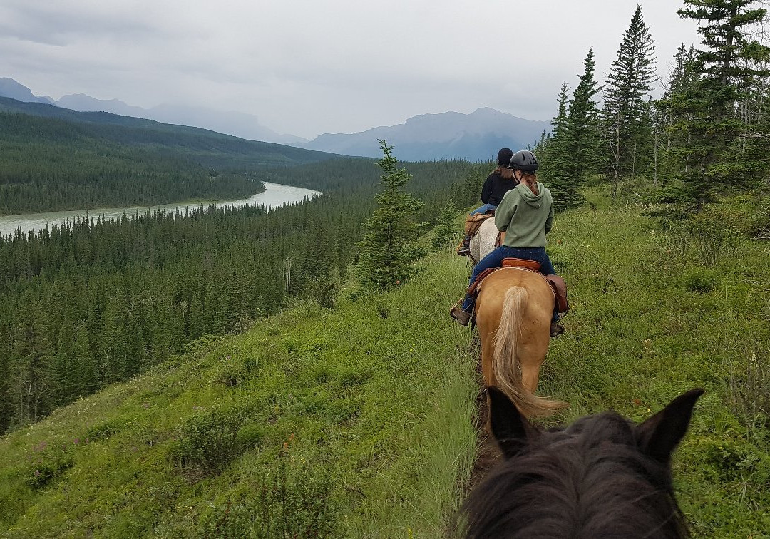 Entrance Ranch-兴顿必去景点
