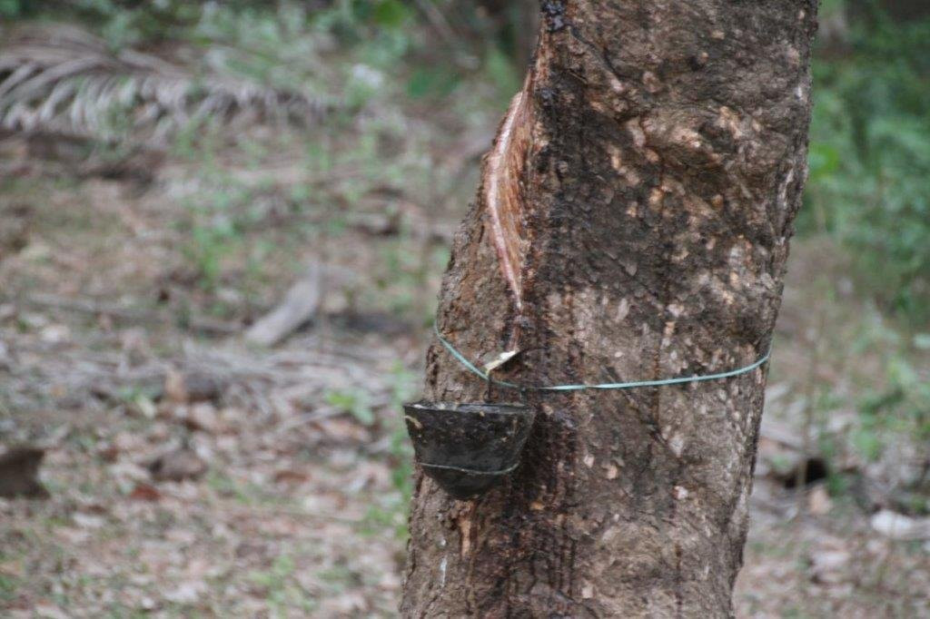 Sayoojyam Residency主图