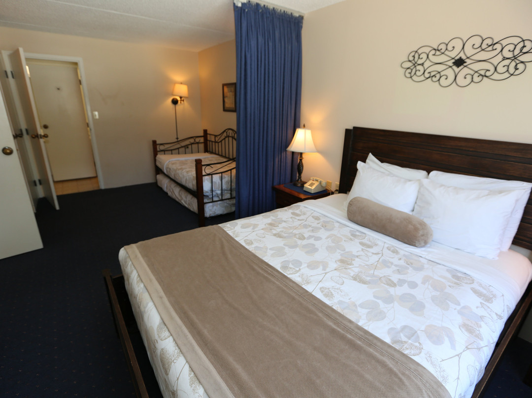 Black Bear Lodge主图